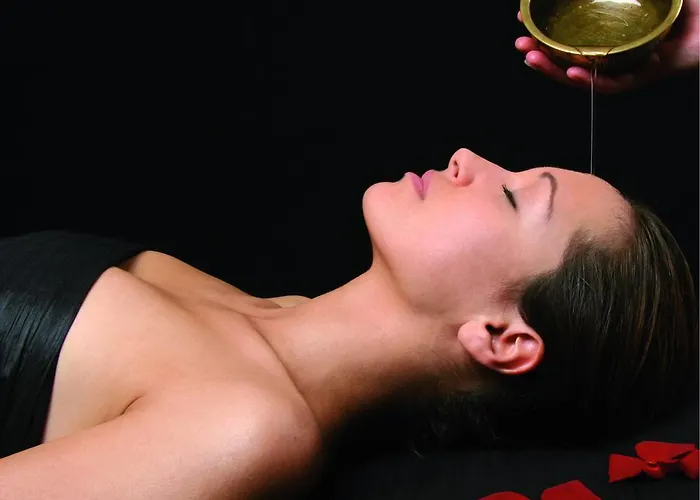 Manoir Le Roure &